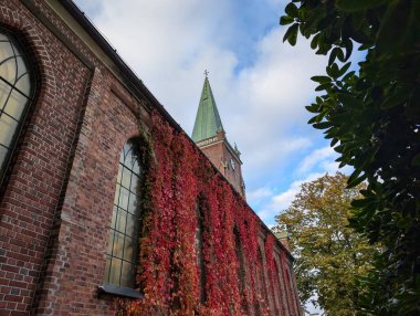 Antik kilise sonbaharda yabani üzümlerle doludur.