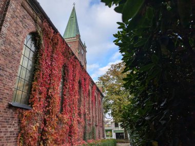 Antik kilise sonbaharda yabani üzümlerle doludur.