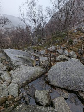 Dağlardaki kayalık manzaranın güzel manzarası