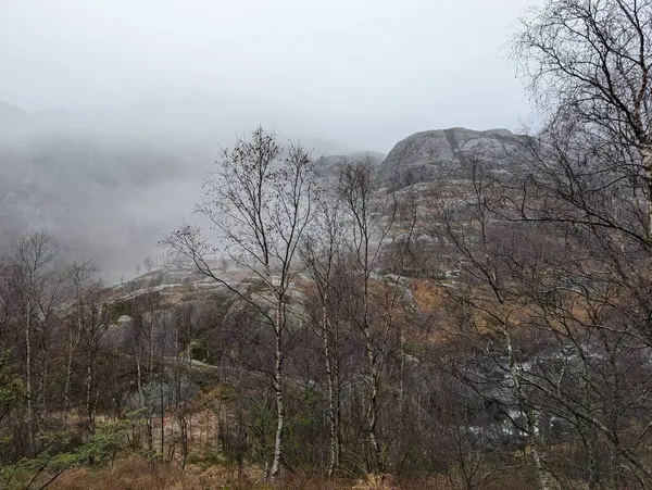 Sonbaharda sisli bir dağın güzel görüntüsü.