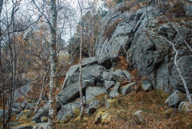 Ağaçlar ve kayalarla dolu güzel bir dağ manzarası 