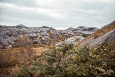 Doğada kayalık dağın güzel manzarası