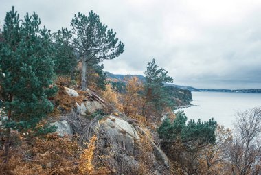 Sonbaharda ağaçlar ve dağlarla çevrili gölün güzel bir görüntüsü. 