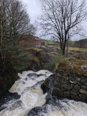 Ağaçlar ve kayalarla ormandaki şelale görüntüsü. 