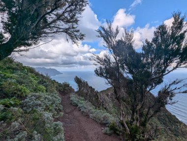 Kayalık deniz kıyısının güzel doğal manzarası