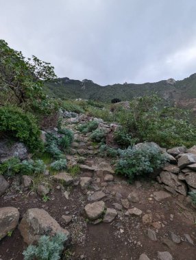 İspanya, Kanarya Adaları, Tenerife 'deki Anaga kırsal parkının güzel doğa manzarası