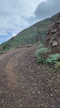 Dağ yolu ile güzel doğal manzara