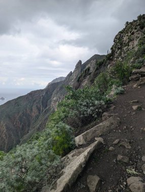 Kayalık deniz kıyısının güzel doğal manzarası