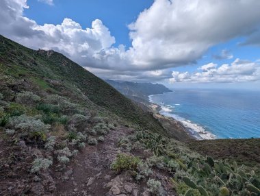 Güzel kayalık kıyı şeridi ve kabarık bulutlu gökyüzü. 