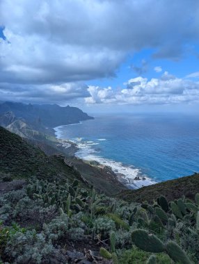 Güzel kayalık kıyı şeridi ve kabarık bulutlu gökyüzü. 