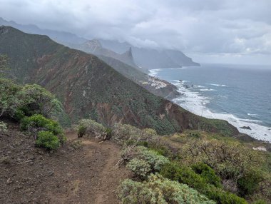 Kayalık deniz kıyısının güzel doğal manzarası