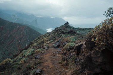 Okyanusla kayalık kayalıkların güzel bir görüntüsü.