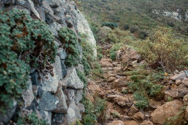 Kayalık yolu ve dağlarda ağaçları olan güzel bir manzara. 