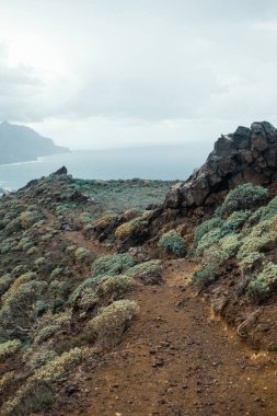 Okyanusla kayalık kayalıkların güzel bir görüntüsü.