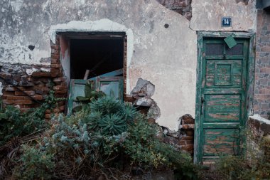 Terk edilmiş ev ve köydeki bitkilerin manzarası