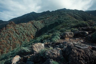 güzel dağ manzarası ile yeşil orman