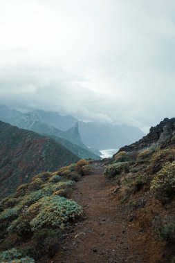 Okyanusla kayalık kayalıkların güzel bir görüntüsü.