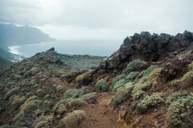Okyanusla kayalık kayalıkların güzel bir görüntüsü.