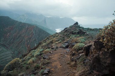 Okyanusla kayalık kayalıkların güzel bir görüntüsü.