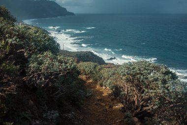 Okyanusla kayalık kayalıkların güzel bir görüntüsü.