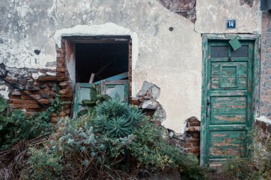 Terk edilmiş ev ve köydeki bitkilerin manzarası