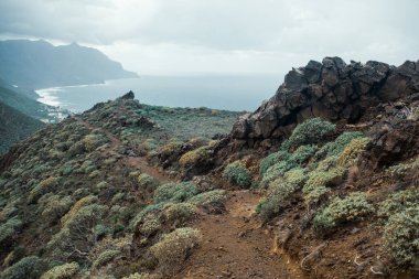Okyanusla kayalık kayalıkların güzel bir görüntüsü.