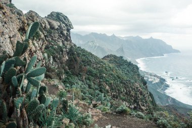 Okyanusla kayalık kayalıkların güzel bir görüntüsü.