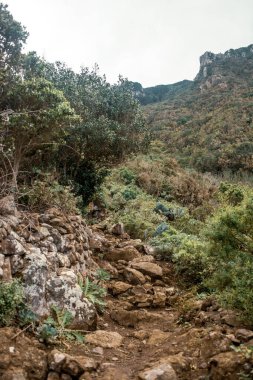 Dağın güzel manzarası