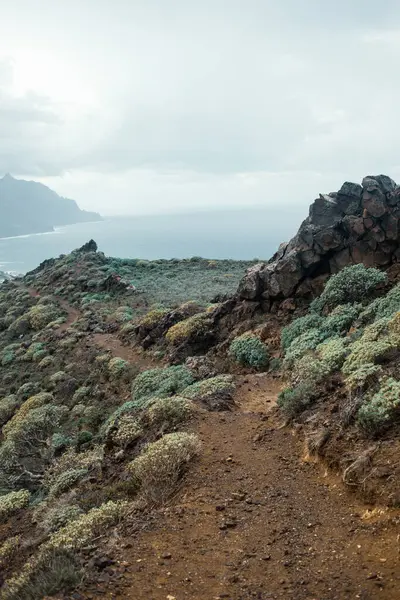 Okyanusla kayalık kayalıkların güzel bir görüntüsü.