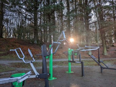 Açık spor salonu güneş ışığıyla çevrili orman ağaçları