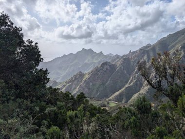 Taganana, Tenerife, Kanarya, İspanya, Avrupa 'nın Yeşil Dağ manzarası