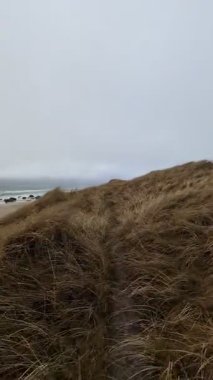 Kum tepeleri olan sonbahar deniz manzarası 