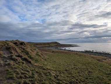 Yeşil çimenler ve deniz kıyısında bulutlu hava olan küçük kayalar.