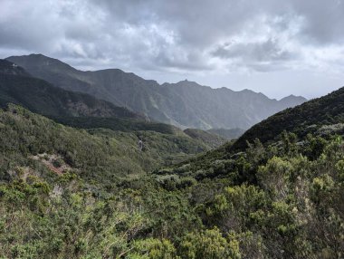 Taganana, Tenerife, Kanarya, İspanya, Avrupa 'nın Yeşil Dağ manzarası
