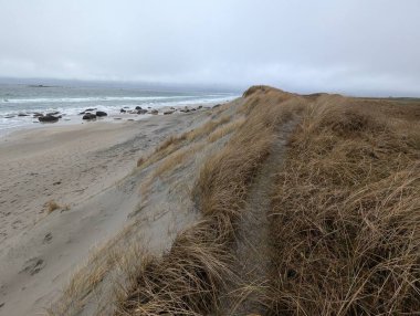 Denizin arka planında dalgalar olan kumlu bir sahilin güzel bir görüntüsü.