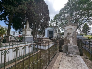 Puerto de la Cruz mezarlığı, Tenerife, Kanarya Adası, İspanya, Avrupa