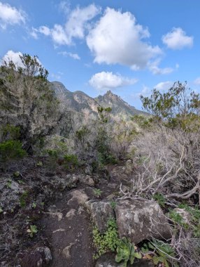 Dağlarda yeşil bitkilerin olduğu manzaralı bir yer. 