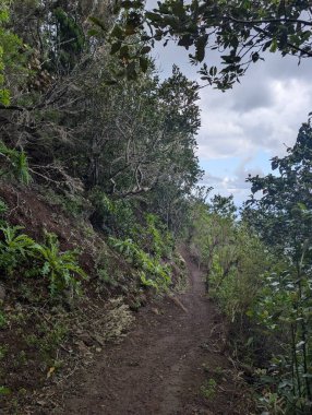 Kayalar ve bitkilerle dolu güzel bir dağ manzarası mavi gökyüzüne karşı bulutlar