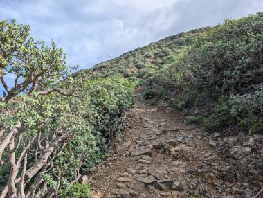 yeşil dağ sırası ve bulutlu gökyüzü