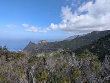 Taganana ve Atlantik Okyanusu 'nun yeşil dağ kıyıları, Tenerife, Kanarya, İspanya, Avrupa