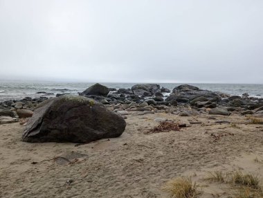 Rugged coastline under moody gray sky