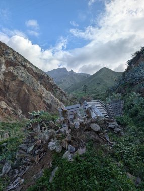 Kayalık dağlarda yetişen yeşil bitkilerle dolu güzel bir manzara. 