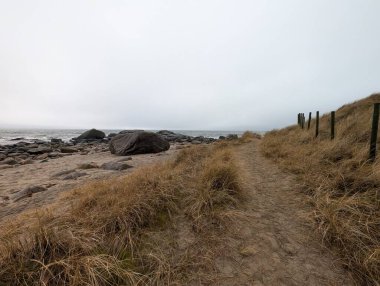 Deniz kıyısının güzel manzarası Otlar ve kayalar 