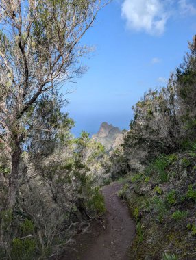 Uzaktaki mavi denizi olan dağlardaki dar patika manzarası