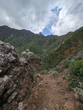 Taganana, Tenerife, Kanarya, İspanya, Avrupa 'nın Yeşil Dağ manzarası