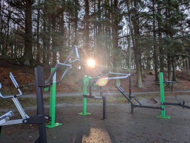 Açık spor salonu güneş ışığıyla çevrili orman ağaçları