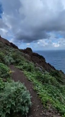 Taganana, Tenerife, Kanarya, İspanya, Avrupa 'nın Rocky kıyıları