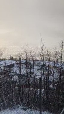 Şehrin güzel kış manzarası ve karlı ağaçları.