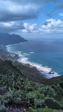 Taganana 'nın yeşil dağ tepeleri, Tenerife, Kanarya, İspanya, Avrupa