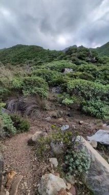 Taganana 'nın yeşil dağ tepeleri, Tenerife, Kanarya, İspanya, Avrupa